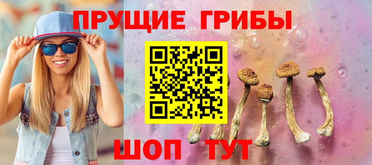 закладки  Галлюциногенные грибы ЛСД  Вход с VPN  Псилоцибиновые грибы ЛСД  Домодедово 